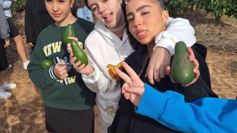 ‏״3״ - גדול.jpeg