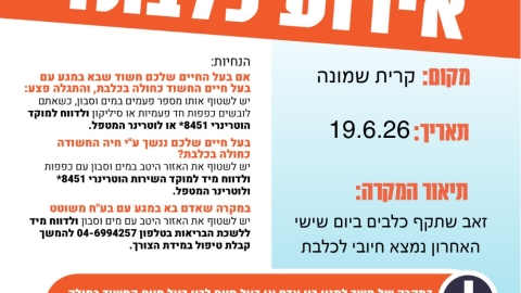 משרד הבריאות: זאב נגוע בכלבת בקרית שמונה שבגליל העליון