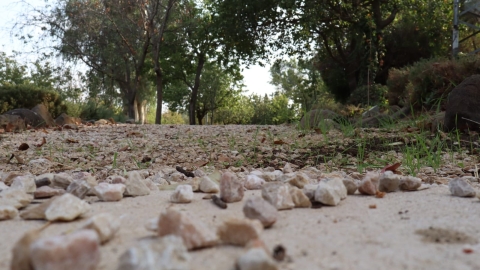 תלמידות מגמת הצילום בבית החינוך חפץ חיים הציגו את תערוכת ״רואות בעין טובה״