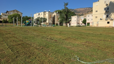 השלמנו הקמת מדשאה חדשה בשדרות תל חי והמשכנו בהכשרת שטחים ובהכנות להקמת מדשאות נוספות בתוך השכונות
