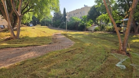 ממשיכים להוסיף ירוק לעיר: הקמנו מדשאה חדשה בין שכונות האצ״ל והר הצופים