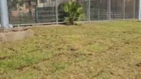 השלמנו הקמת מדשאה חדשה ברחוב משאש יוסף ברובע ב'